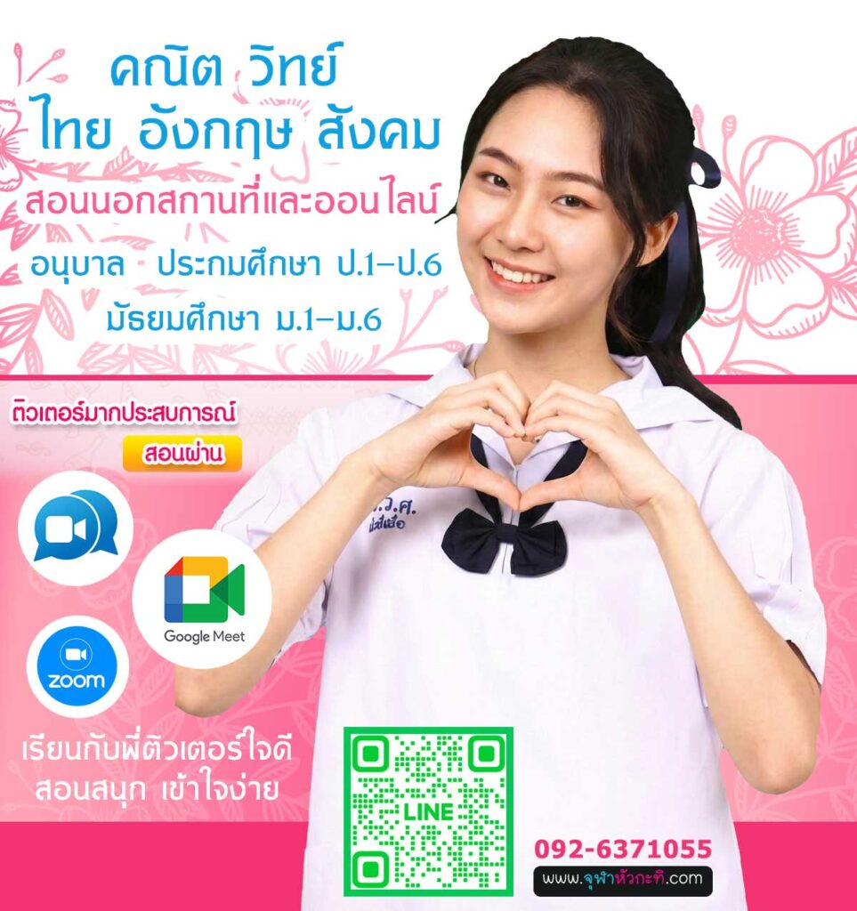 สอนตัวต่่อตัวออนไลน์